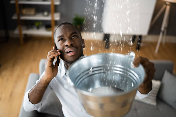 Best Residential water damage restoration  in Buena Vista, CO