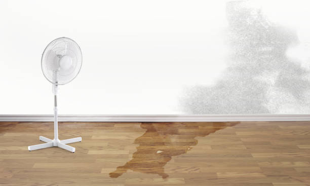 Best Water damage restoration near me  in Buena Vista, CO