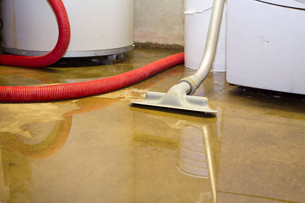 Best Water damage restoration company  in Buena Vista, CO