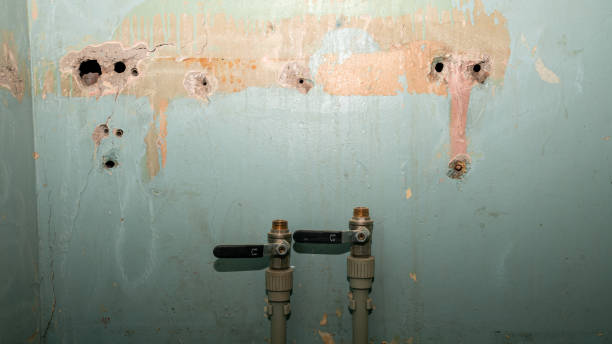 Best Commercial water damage restoration  in Buena Vista, CO
